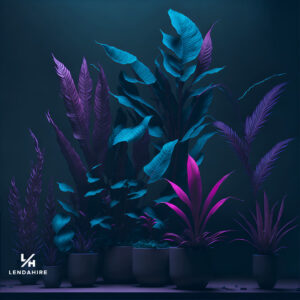 Lendahire - Blog - Indoor Plants